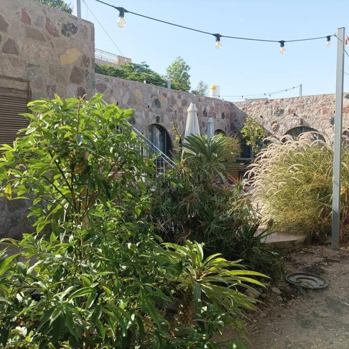 شقة Eilat Stone Terrace-אילת סטון טראס المظهر الخارجي الصورة