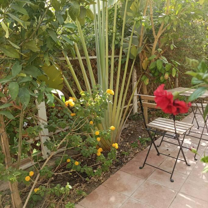 شقة Eilat Stone Terrace-אילת סטון טראס المظهر الخارجي الصورة
